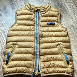 Patagonia Down Sweater Vest